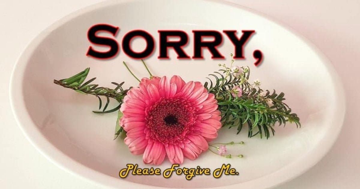 apology-message-after-a-fight