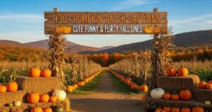 430-pumpkin-patch-captions-cute-funny-and-flirty-fall-lines