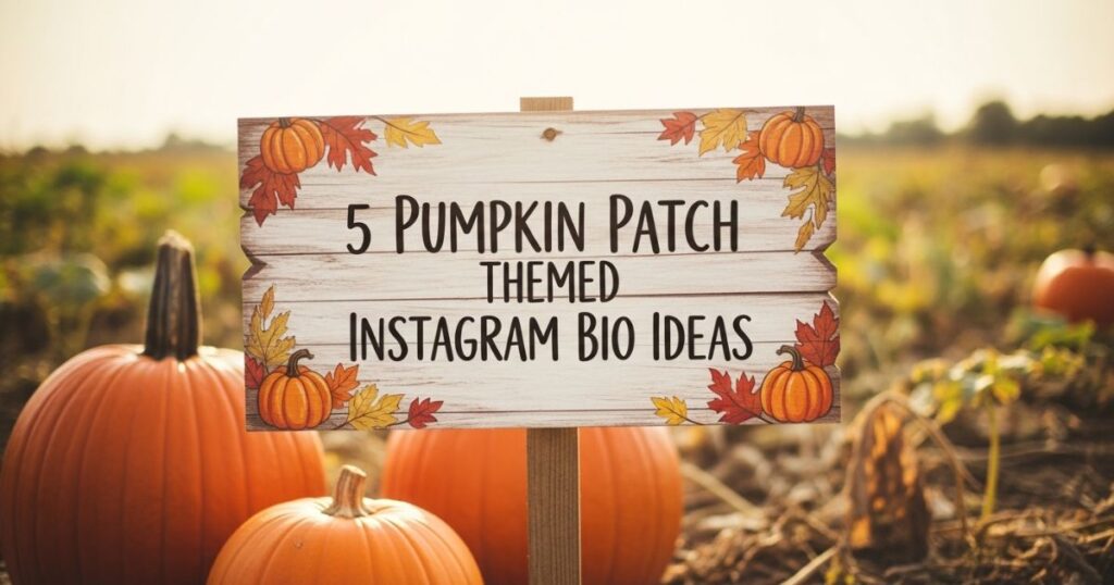 5-pumpkin-patch-themed-instagram-bio-ideas