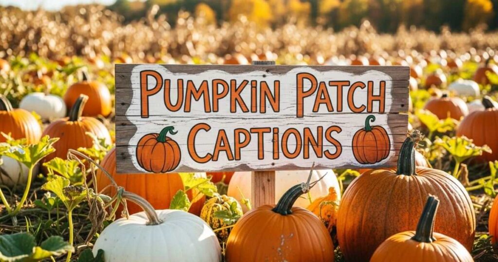 pumpkin-patch-captions